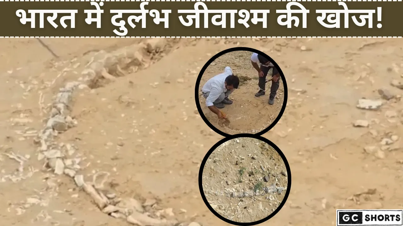 राजस्थान में मिला 20 करोड़ साल पुराना जुरासिक जीवाश्म