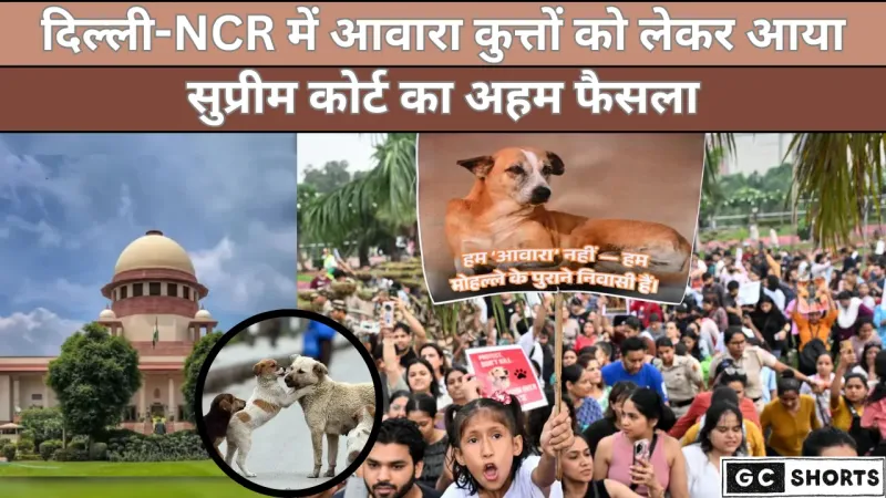 सुप्रीम कोर्ट का बड़ा फैसला अब सड़क पर खुलकर घूमेंगे कुत्ते