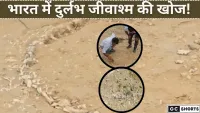 राजस्थान में मिला 20 करोड़ साल पुराना जुरासिक जीवाश्म