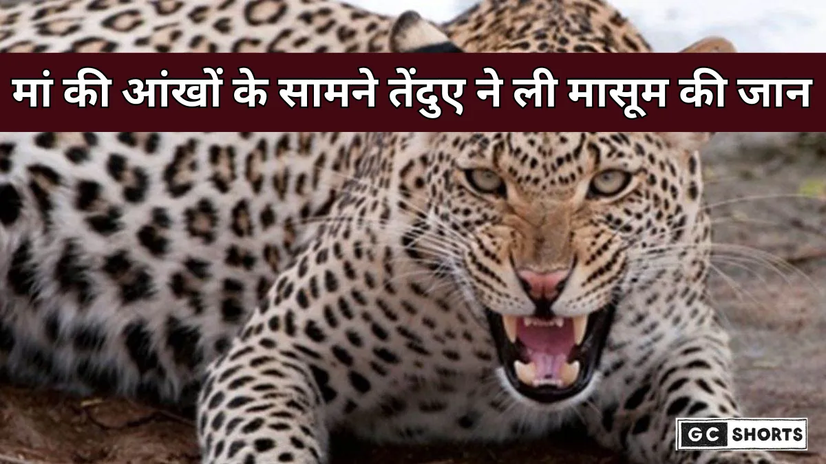 Barwani : में दर्दनाक हादसा, मां की आंखों के सामने तेंदुए ने मासूम बेटी की गर्दन दबोचकर ले ली जान