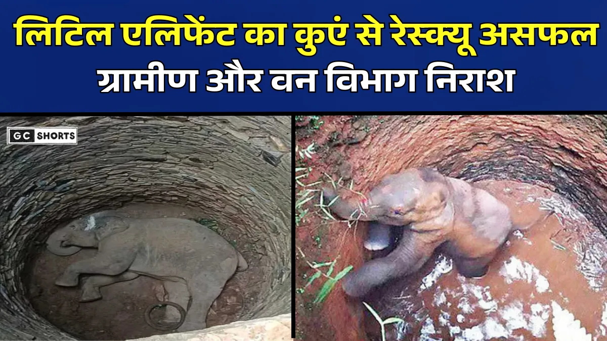 Little elephant : का कुएं से रेस्क्यू ऑपरेशन ग्रामीणों और वन विभाग की घंटों की कोशिश के बाद भी असफल