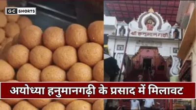 Ayodhya : हनुमानगढ़ी मंदिर प्रसाद में बड़ी मिलावट, फूड सेफ्टी की जांच से खुलासा