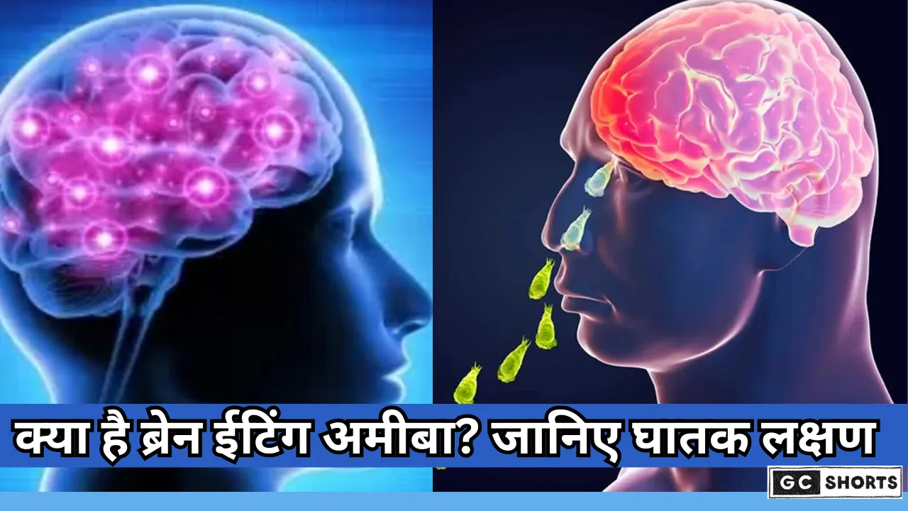 Brain eating amoeba spreads in Kerala : जानिए क्या है यह बीमारी और क्यों है जानलेवा