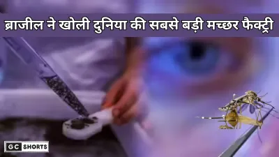 Brazil : ने बनाई मच्छरों की सुपर फैक्ट्री, डेंगू से करोड़ों लोग होंगे सुरक्षित