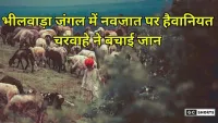 Bhilwara Forest : में नवजात के साथ हैवानियत, चरवाहे की सतर्कता से बची मासूम की जिंदगी