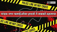 Delhi Pandav Nagar : फ्लाईओवर से गिरे शख्स की दर्दनाक मौत, वाहन की चपेट में आने से हादसा
