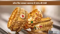 अमेरिकी फेड दर कटौती की अटकलों से सोना रिकॉर्ड स्तर पर, YTD में 35% की तेजी