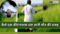 Saharanpur : में कीटनाशक छिड़कते समय किसान की मौत, गांव में पसरा मातम