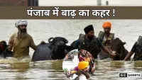 पंजाब डूबा पानी में: 23 जिले बाढ़ग्रस्त, 30 की दर्दनाक मौत