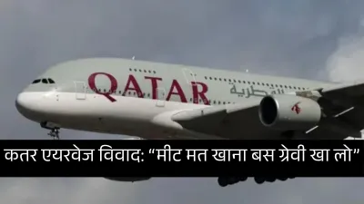 मीट मत खाना बस ग्रेवी खा लो… कतर एयरवेज की फ्लाइट में शाकाहारी यात्री को नॉनवेज खाना, दम घुटने से मौत