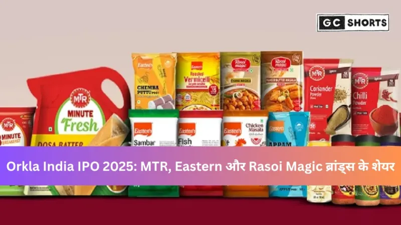 Orkla India IPO 2025: MTR, Eastern और Rasoi Magic ब्रांड्स के लिए निवेश अवसर