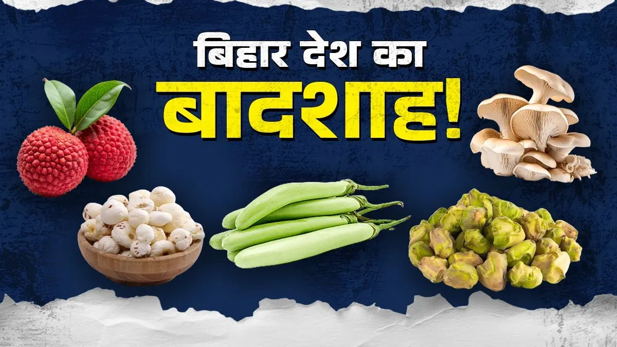 बिहार की व्यापक कृषि ताकत : मखाना-लीची से बढ़कर देश के टॉप फसल उत्पादक के रूप में बिहार की कहानी