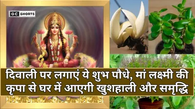 Diwali 2025: दिवाली से पहले घर में जरूर लाएं ये पौधे, पाएं मां लक्ष्मी का आशीर्वाद