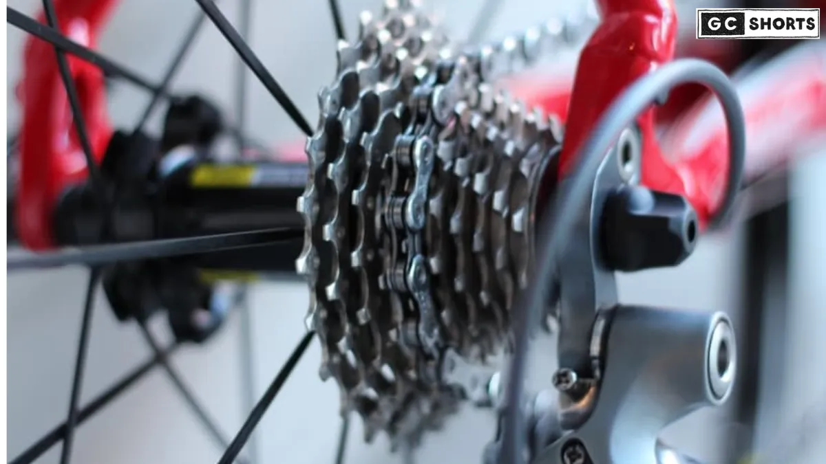 Gear Cycle – पैडल में ताकत, सवारी में आज़ादी का एहसास local mechanic