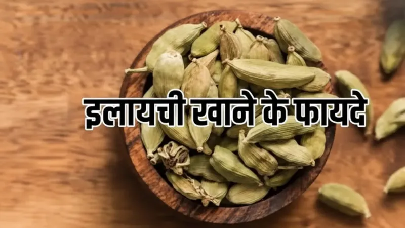 खाने के बाद इलायची क्यों चबाते हैं असली वजह सुनकर हैरान रह जाओगे