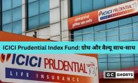 ICICI Prudential Life BSE 500 Enhanced Value 50 Index Fund: लंबी अवधि निवेश के लिए नया विकल्प